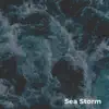 Malburn - Sea Storm - Single